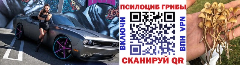 купить наркоту  Баксан  Псилоцибиновые грибы прущие грибы 